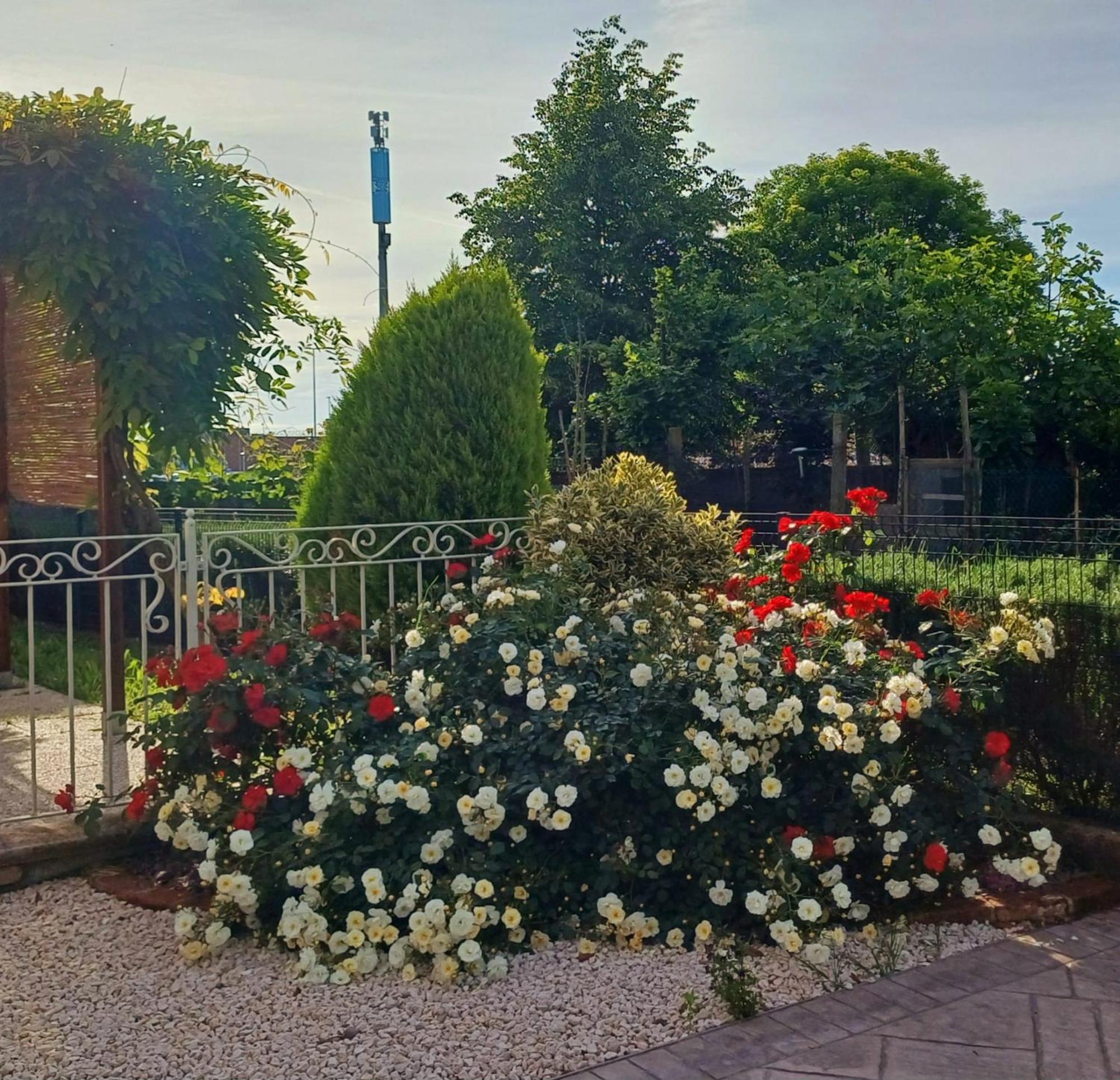B&B Al Sogno Di Laura Treviso Kültér fotó