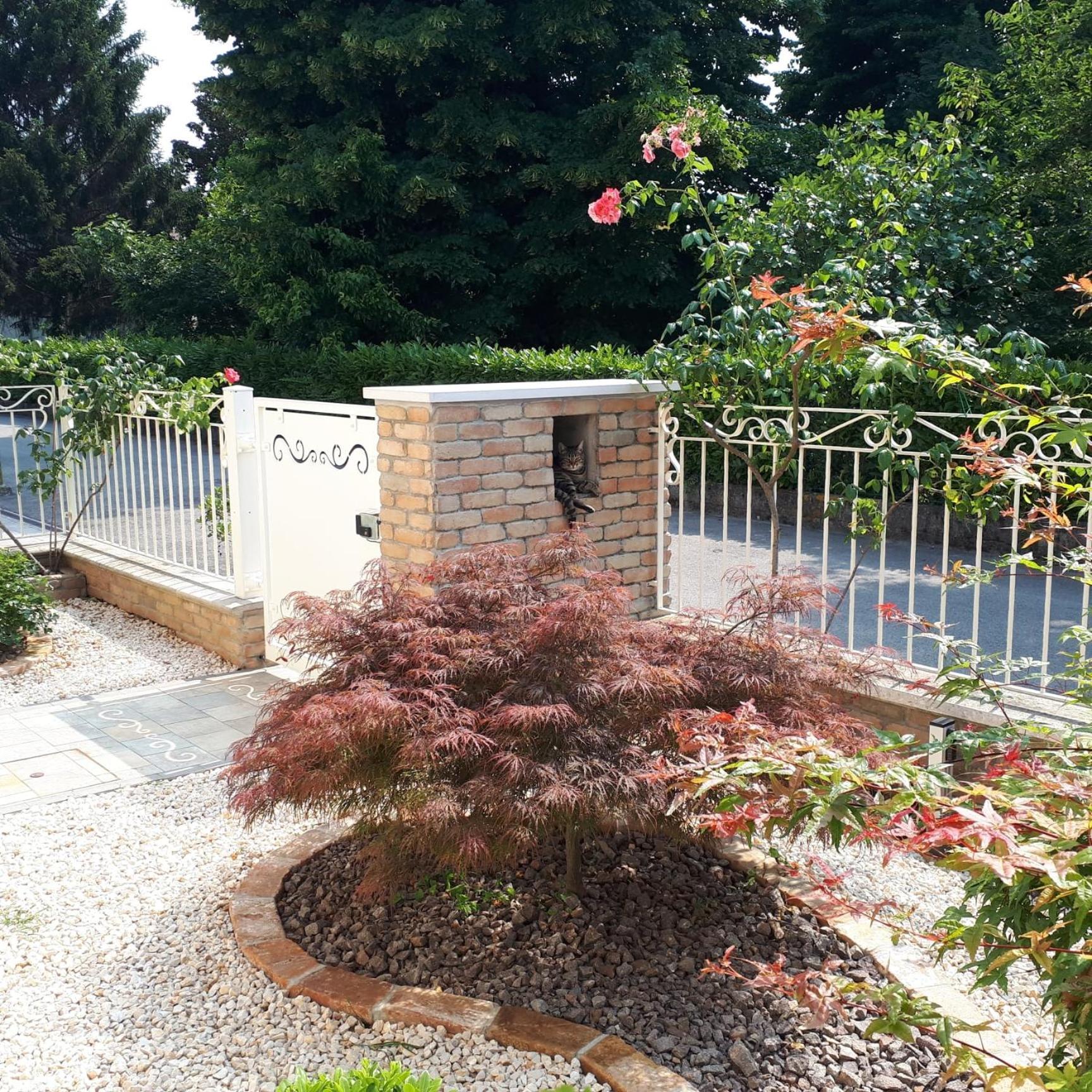 B&B Al Sogno Di Laura Treviso Kültér fotó