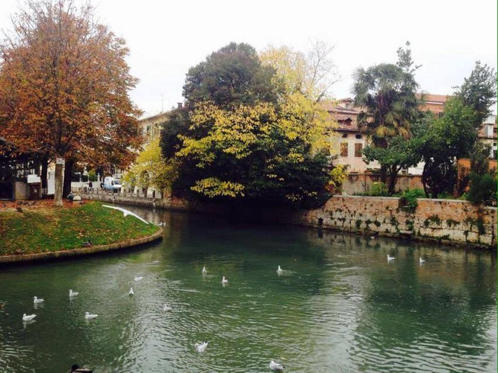 B&B Al Sogno Di Laura Treviso Kültér fotó